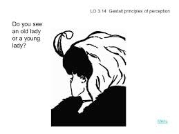Perceiving Persons