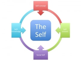 Online quiz El Ser Social