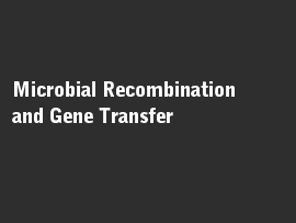 Online quiz Microbial Recombination and Gene Transfer