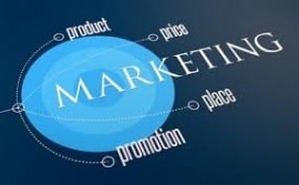 Online quiz The Marketing Plan