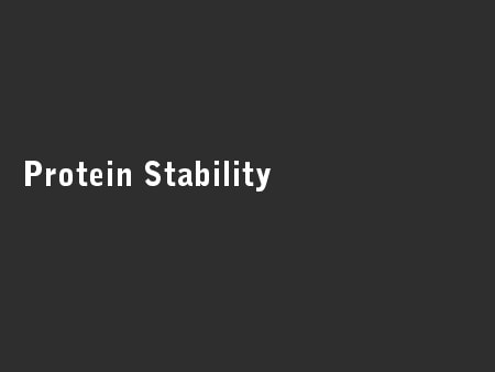 Protein Stability